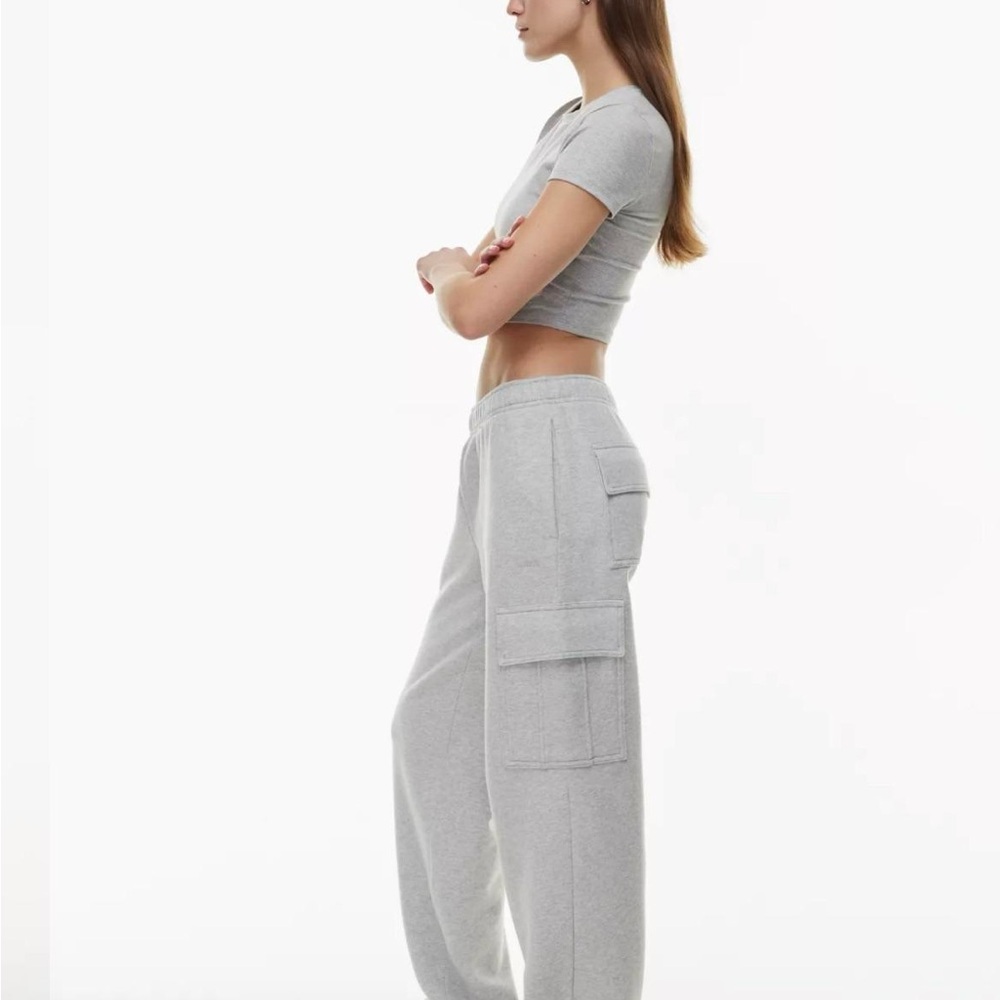 Aritzia Heather Chrome Mega Cargo Sweatpants